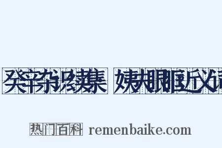 癸辛杂识续集·姨夫眼眶近义词是什么意思的图片